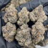 Rainbow gelato strain