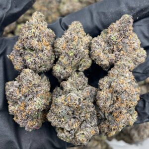 Rainbow gelato strain
