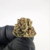Umami Butter Strain